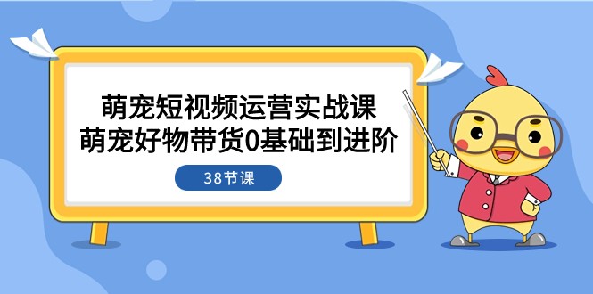 萌宠短视频运营实战课：从0基础到进阶，带货技巧全解析（38节课）-网赚项目资源库