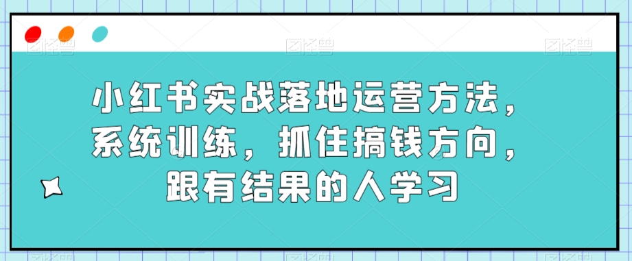 小红书实战运营技巧：系统训练，学习成功案例，提升赚钱效率-网赚项目资源库