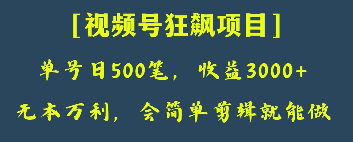 日入500+，视频号赚钱秘籍：简单剪辑，纯利润3000+-网赚项目资源库