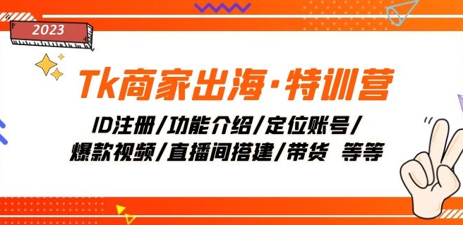 Tk商家出海特训营：ID注册、功能介绍、账号定位、爆款视频制作、直播间搭建及带货技巧-网赚项目资源库