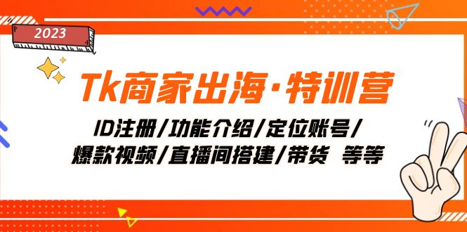 Tk商家出海特训营：ID注册、功能介绍、账号定位、爆款视频制作、直播间搭建及带货技巧-网赚项目资源库