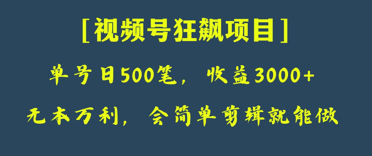 日入500笔，纯利3000+，视频号暴利项目揭秘！-网赚项目资源库
