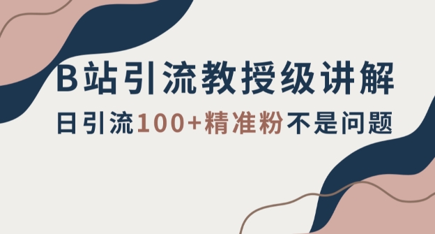 教授级B站引流技巧揭秘：日增100+精准粉丝，细节决定成败-网赚项目资源库