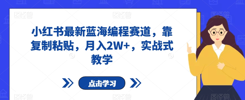小红书揭秘：最新蓝海编程赛道，月入2W+，实战式教学【复制粘贴】-网赚项目资源库