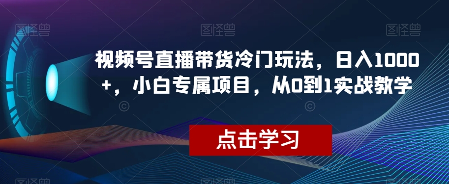 视频号直播带货冷门玩法，日入1000+，小白专属项目，实战教学揭秘-网赚项目资源库