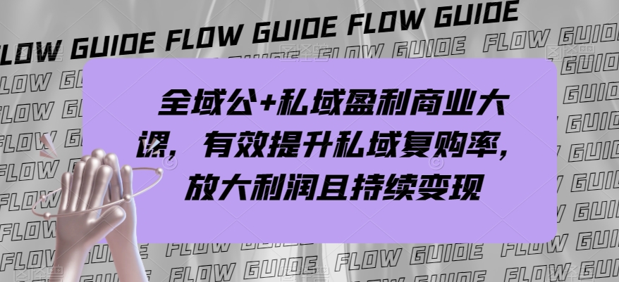 全域公私盈利商业大课，提升私域复购率，放大利润持续变现-网赚项目资源库