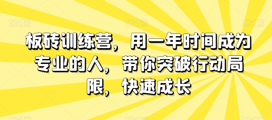 板砖训练营：一年成专业，突破行动局限，快速成长-网赚项目资源库