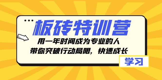 板砖特训营：一年时间，专业成长，突破行动局限-网赚项目资源库