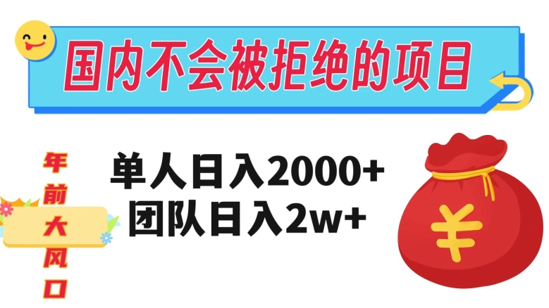 揭秘:国内单人日入2000,团队日入20000+的项目-网赚项目资源库