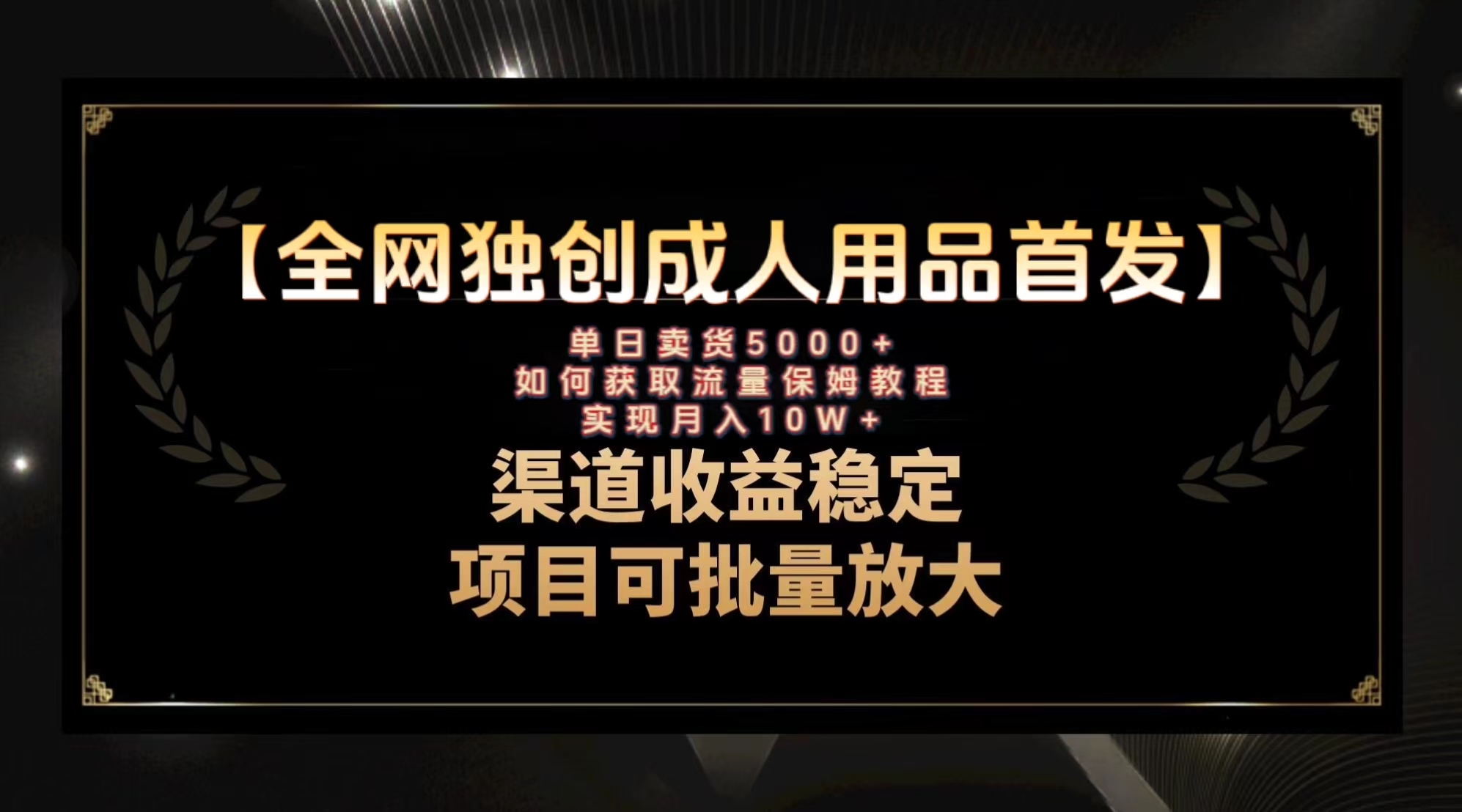 全网首发成人用品引流教程，月入10万保姆级操作指南-网赚项目资源库