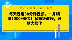 每天观看30分钟视频，一月躺赚1000+美金！保姆级教程，可放大操作【揭秘】-网赚项目资源库