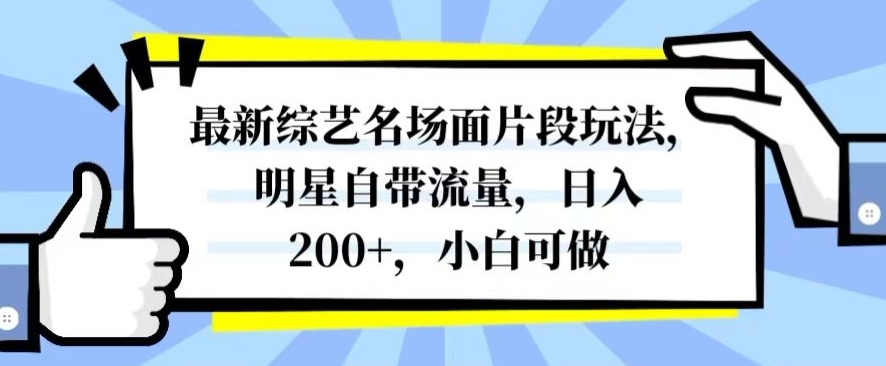 揭秘最新综艺名场面玩法，明星自带流量日入200+-网赚项目资源库