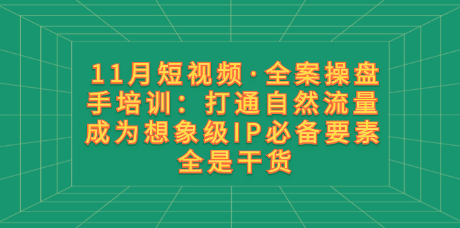 11月短视频全案操盘手培训：掌握自然流量，打造想象级IP必备要素-网赚项目资源库