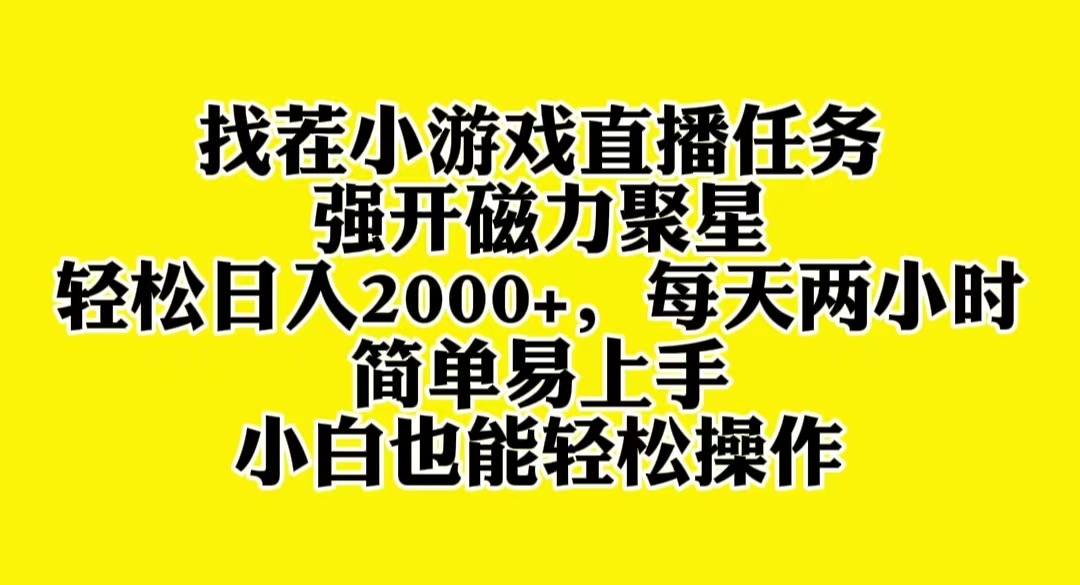 揭秘：日入2000+的找茬小游戏直播秘籍，新手也能轻松上手-网赚项目资源库
