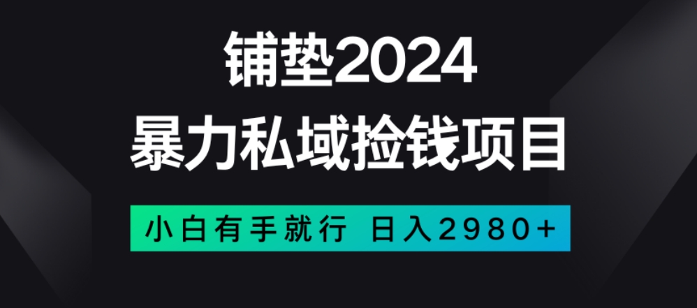 揭秘暴力私域赚钱项目，小白日入2980【无脑操作】-网赚项目资源库