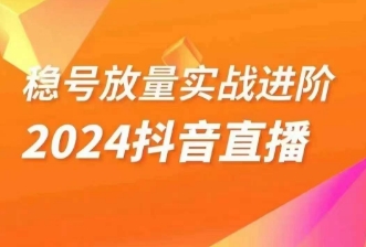 2024抖音直播：直播间精细化运营的实战进阶步骤-网赚项目资源库