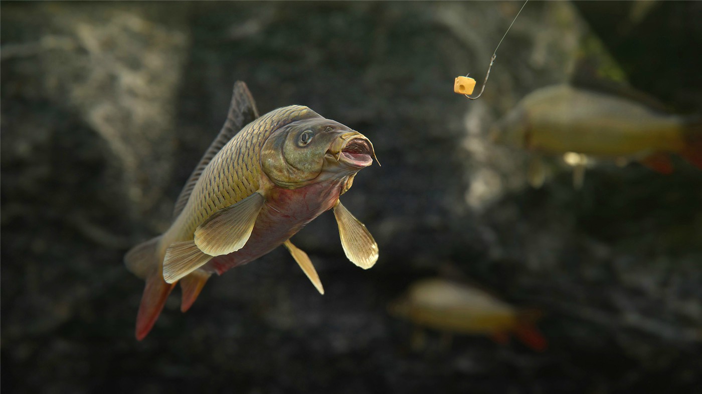 http: www.weimei77.com/wp-content/uploads/2023/12/20231218035030-657fc186694d7.jpg 《人渣》v0.9.500.80425中文版