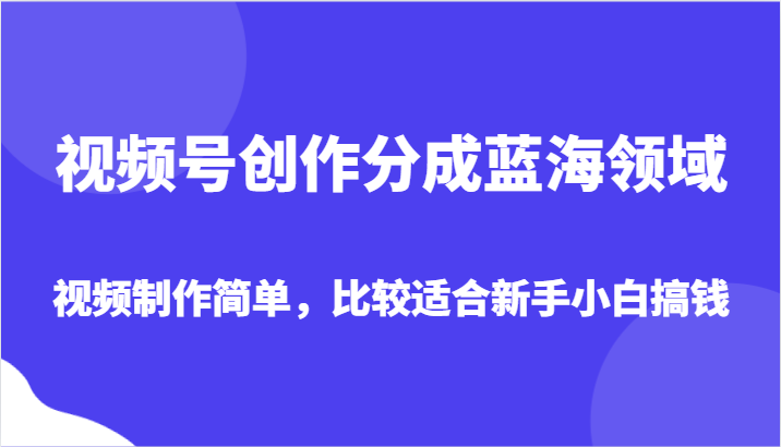 视频号创作成金矿，简易制作助新手快速赚钱-网赚项目资源库