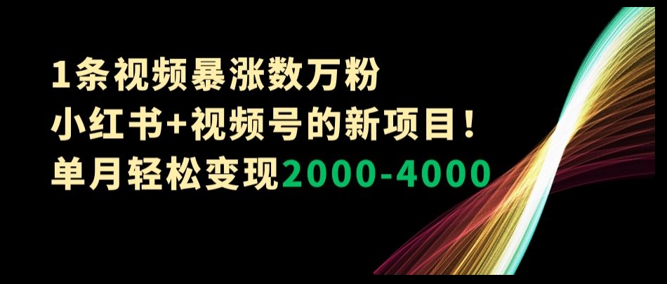 小红书+视频号新项目：1条视频涨粉数万，单月轻松变现2000-4000【揭秘】-网赚项目资源库