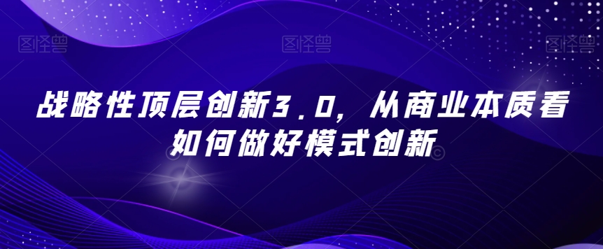 战略性顶层创新3.0：商业本质下的模式创新策略-网赚项目资源库