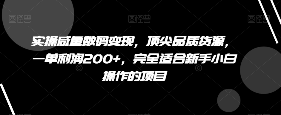 咸鱼数码变现指南：新手小白也能月入200+，揭秘顶级货源项目-网赚项目资源库