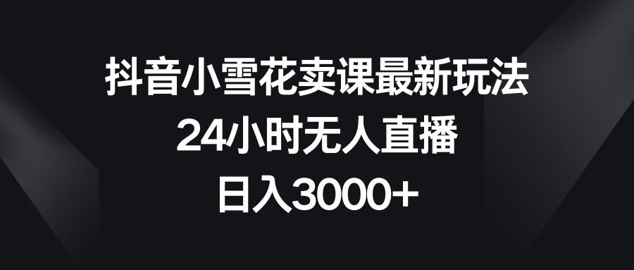 抖音小雪花卖课新策略：24小时无人直播，日赚3000+-网赚项目资源库