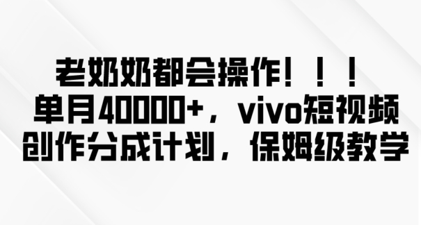 老奶奶也能轻松上手，新平台操作指南，单月收入破4万！vivo短视频创作分成计划揭秘-网赚项目资源库