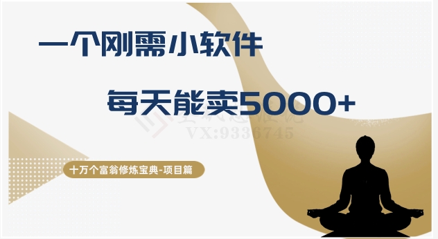 《十万富翁修炼宝典》第17期：每日销售5000+的刚需小软件-网赚项目资源库