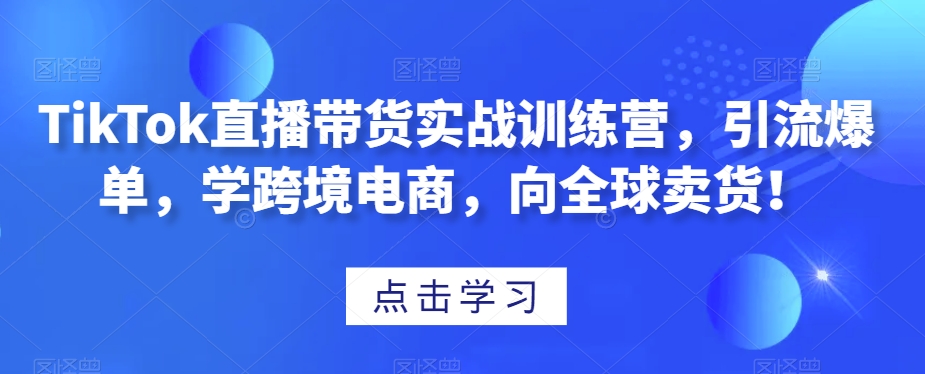 TikTok直播带货实战训练营：引流爆单，学跨境电商，全球卖货！-网赚项目资源库