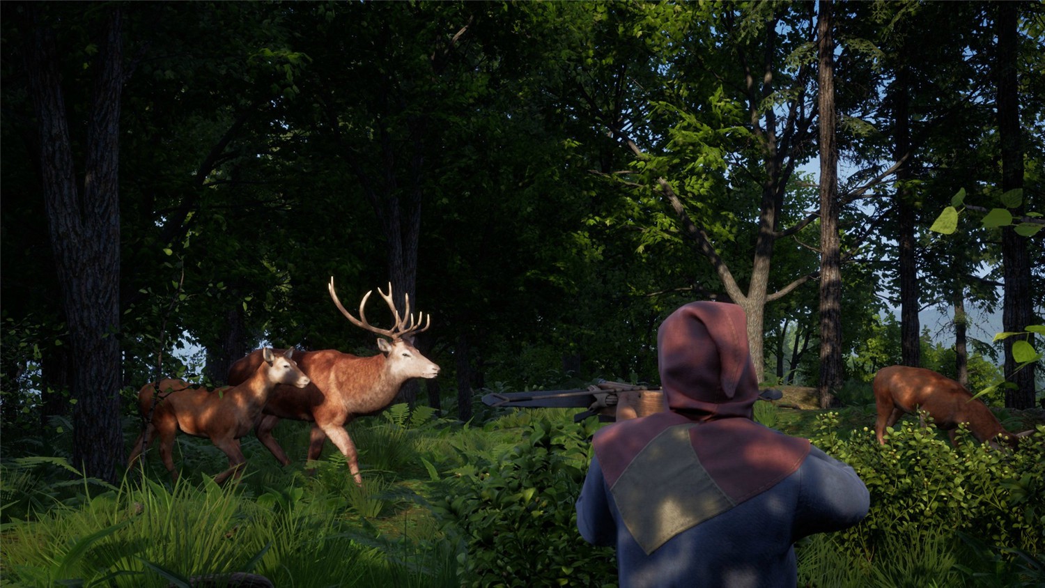 http: www.weimei77.com/wp-content/uploads/2023/12/20231224041600-6587b08059157.jpg 2.jpg