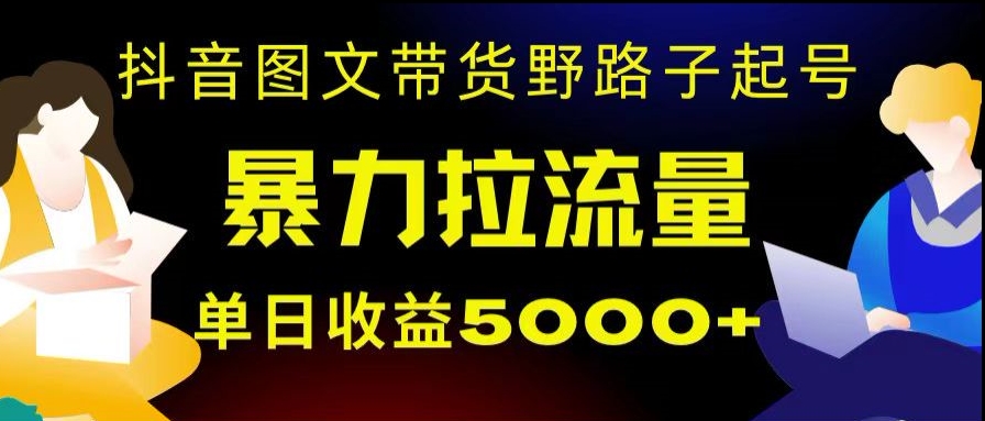 抖音图文带货起号技巧,日赚5000+,野路子玩法,手机操作简易,揭秘收益秘籍-网赚项目资源库