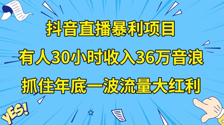 抖音直播暴利项目揭秘：30小时收入36万音浪，公司宣传片年会视频制作抓住年底流量红利【揭秘】-网赚项目资源库