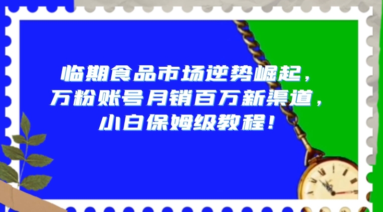 临期食品市场逆势崛起,万粉账号月销百万新渠道,小白保姆级教程揭秘-网赚项目资源库