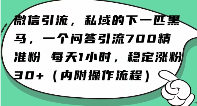 如何利用AI工具在微信上每天仅用一小时吸引100精准创业粉丝？-网赚项目资源库