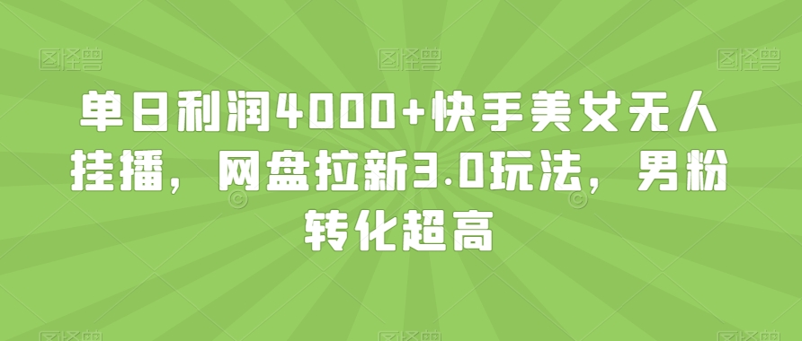 快手美女无人挂播日赚4000+，网盘拉新3.0策略揭秘-网赚项目资源库