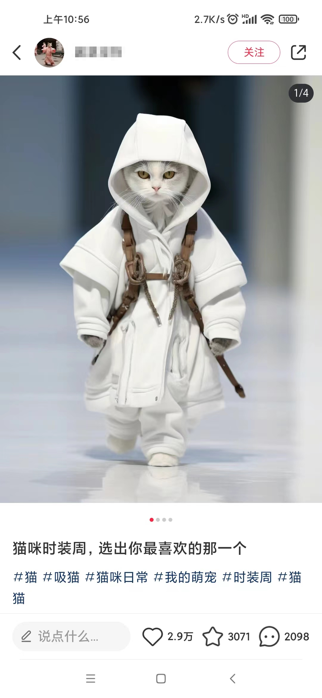 20240102062750-6593ace61bea9.png 小红书最新爆款项目,Animal秀,7天变现1w+