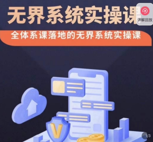 老衲·无界系统实操课：全体系落地、高投产付费引流技巧-网赚项目资源库