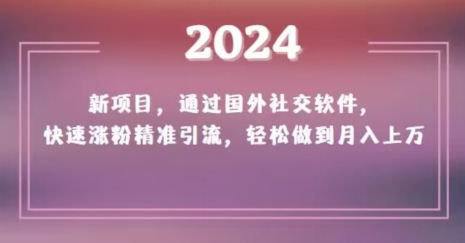 2024新项目：国外社交软件快速涨粉、精准引流，月入上万【揭秘】-网赚项目资源库