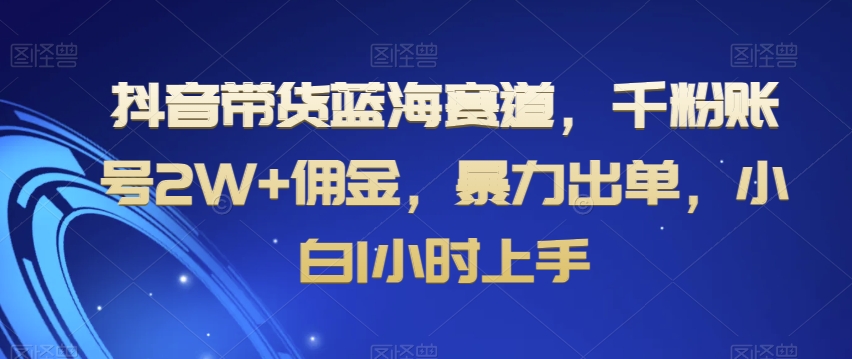 抖音带货蓝海赛道，千粉账号2W+佣金，小白1小时上手【揭秘】-网赚项目资源库