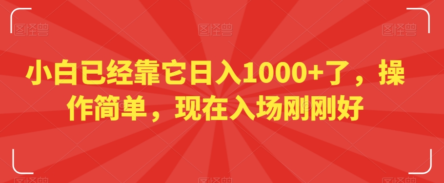 小白日入1000+的秘诀：简单操作，现在正是加入的好时机【揭秘】-网赚项目资源库