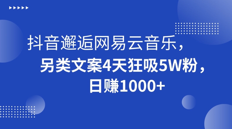 抖音与网易云音乐合作，4天吸粉5万，揭秘日赚1000+秘诀-网赚项目资源库