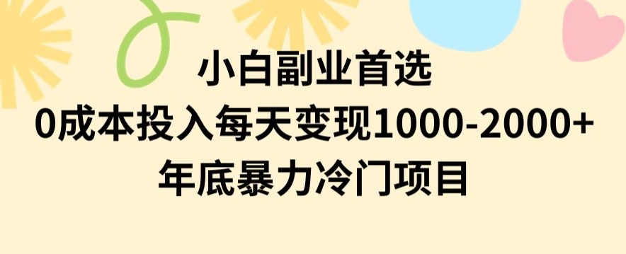 小白副业首选：0成本投入，日赚1000-2000元，揭秘年底冷门暴利项目-网赚项目资源库