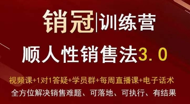 爆款！销冠训练营3.0：顺人性销售法，全方位解决销售难题，实战落地、可执行、有结果-网赚项目资源库