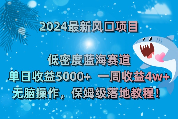 2024年热门项目：低密度蓝海市场，日赚5000+，周收益4w+，简单操作，保…-网赚项目资源库