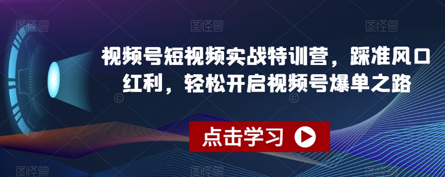 视频号短视频实战特训营：抓住风口红利，轻松实现视频号爆单-网赚项目资源库