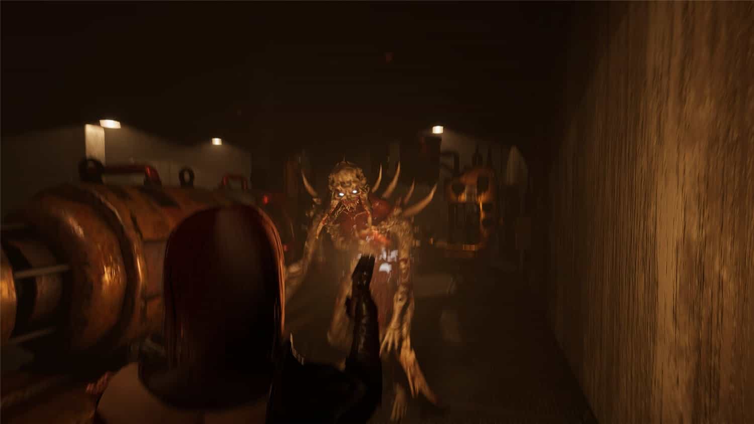 《绝望：血之诅咒》v1.0.5中文版 – 中文游戏更新-网赚项目资源库