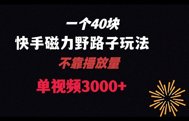 快手与美团磁力联合推出新玩法，单视频收益4位数【揭秘】仅需40元-网赚项目资源库