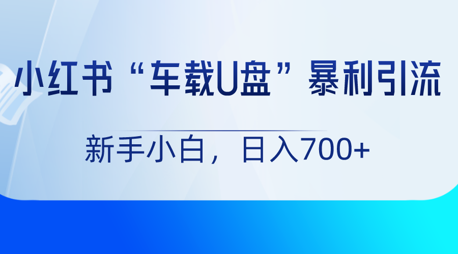 小红书车载U盘项目：日入700+，新手小白轻松操作-网赚项目资源库