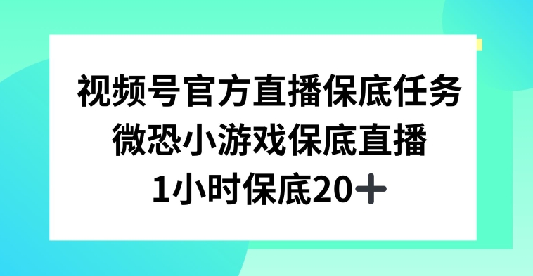 微恐小游戏：视频号直播任务，1小时20+-网赚项目资源库