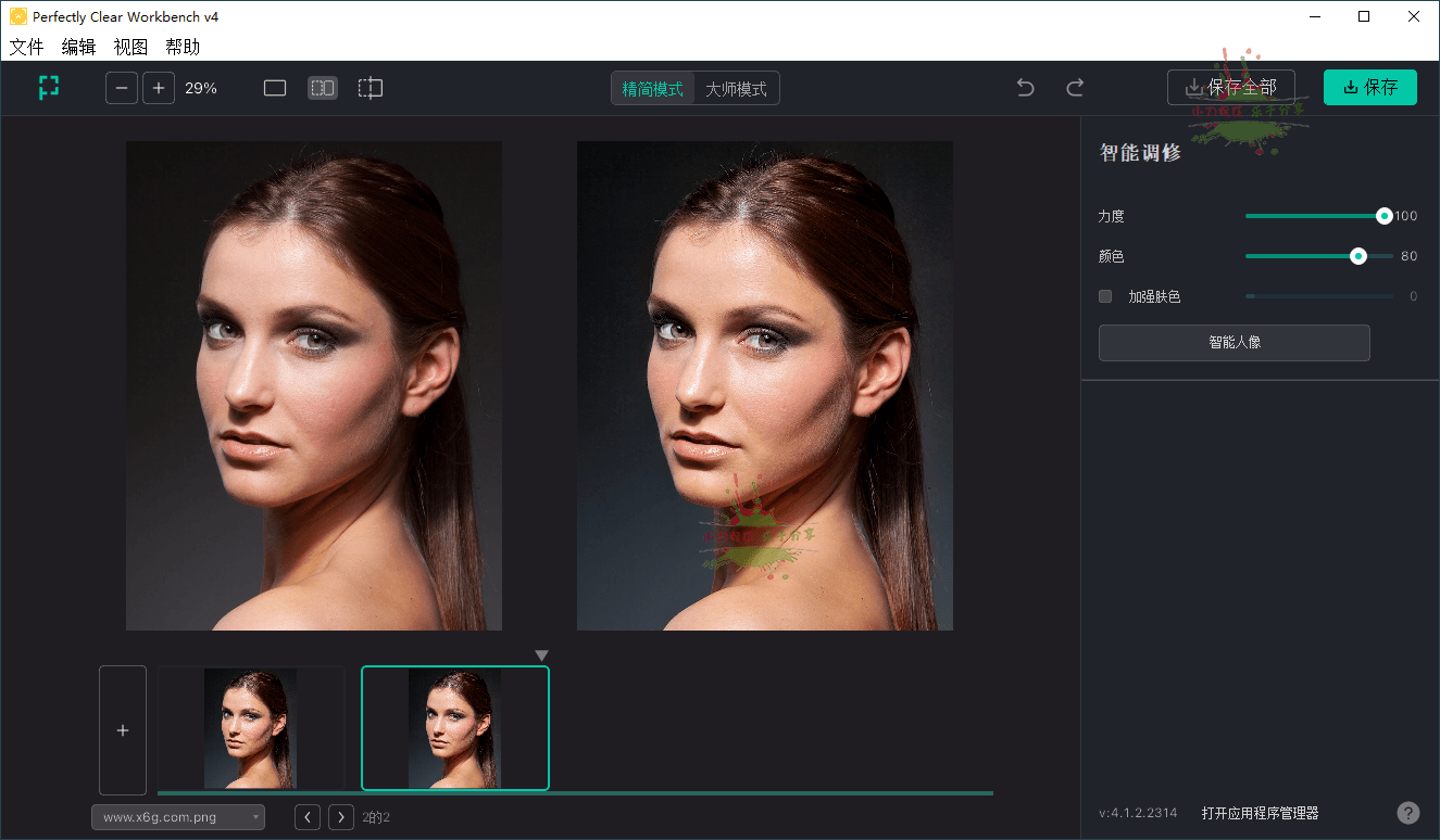 'Perfectly Clear WorkBench v4: Enhance your productivity with this advanced software tool.'-网赚项目资源库